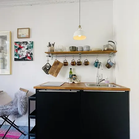 Apartmentincopenhagen 1695 コペンハーゲン